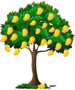 आम का पेड़