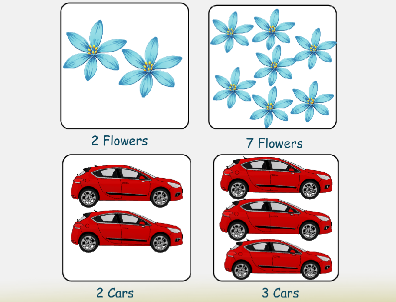 Flowers Counting Activity