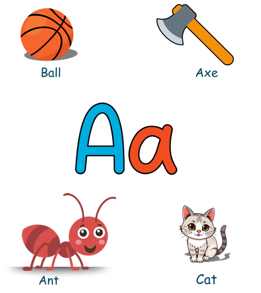 apple, ant, alligator, ball, cat, dog
